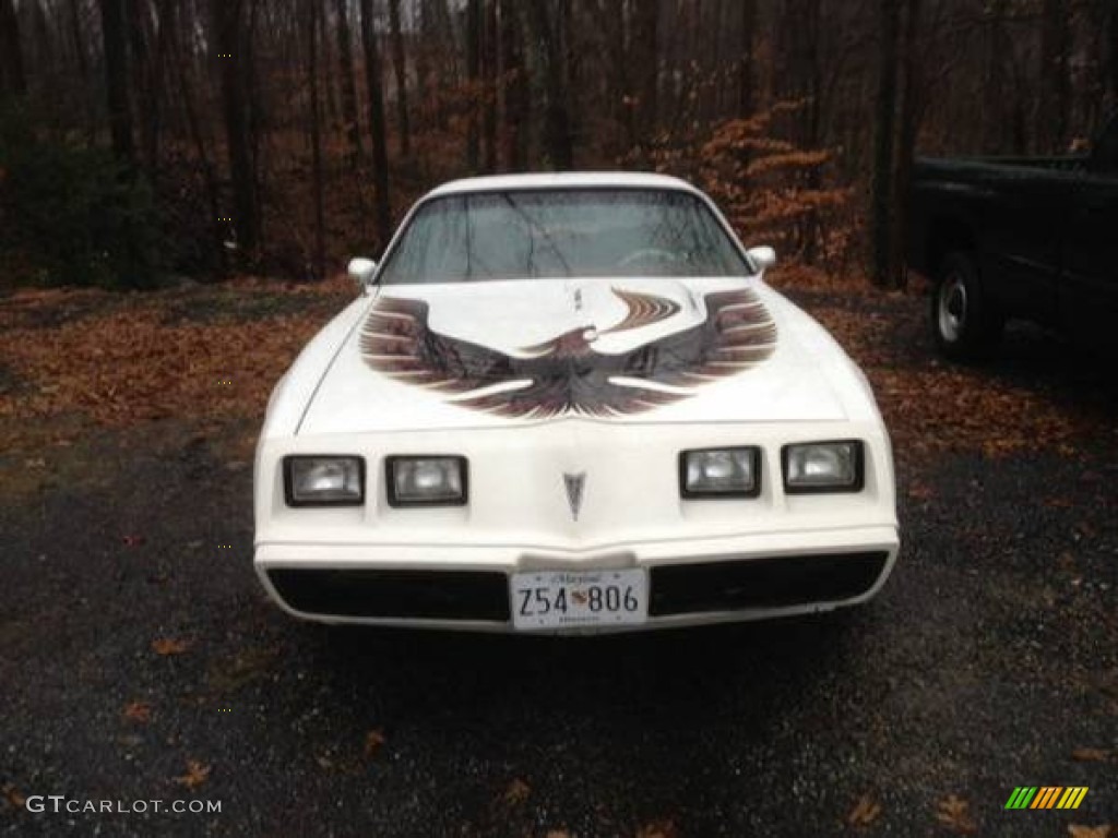 1980 Firebird Trans Am - Cameo White / Carmine Red photo #2