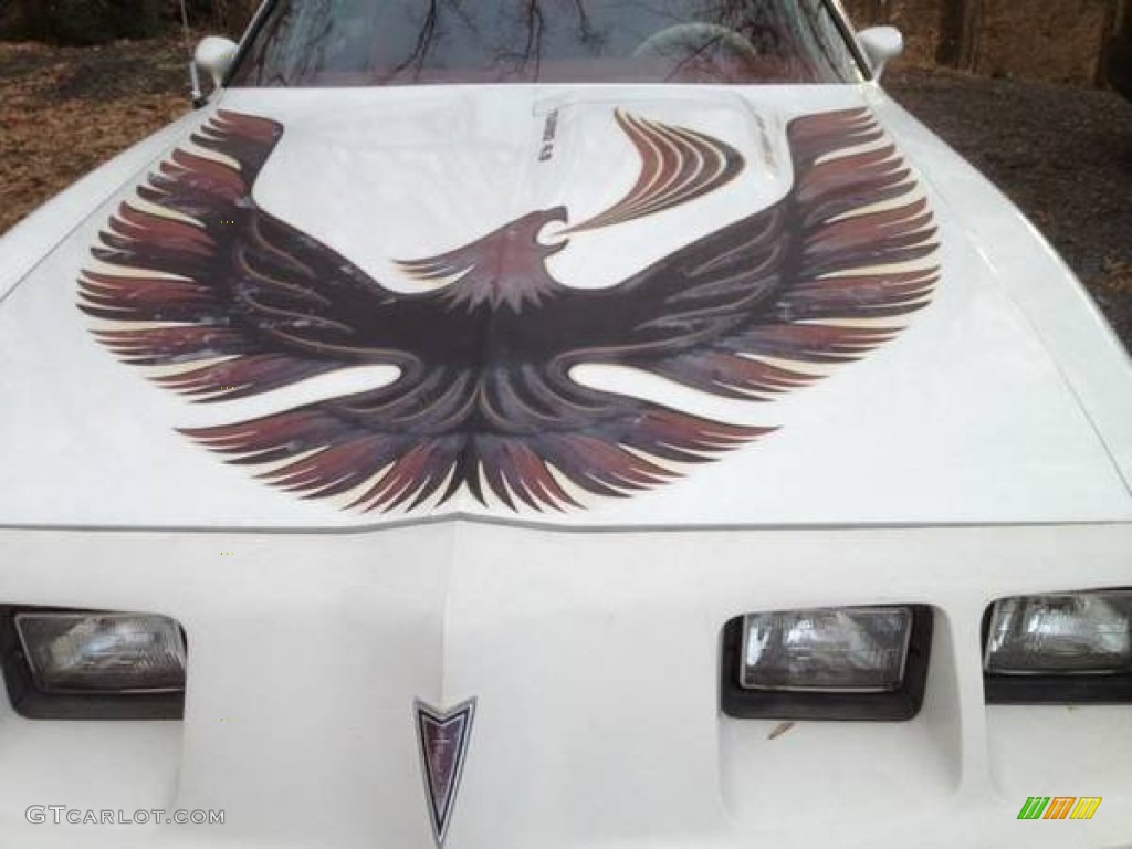 1980 Firebird Trans Am - Cameo White / Carmine Red photo #8