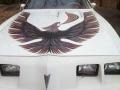 1980 Cameo White Pontiac Firebird Trans Am  photo #8