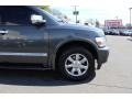 Silver Graphite - QX 56 4WD Photo No. 32