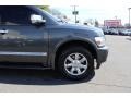 2006 Silver Graphite Infiniti QX 56 4WD  photo #32