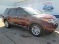 Bronze Fire - Explorer XLT Photo No. 1