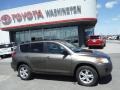 Pyrite Mica - RAV4 I4 4WD Photo No. 2