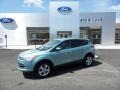 2013 Frosted Glass Metallic Ford Escape SE 1.6L EcoBoost 4WD  photo #1