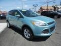 2013 Frosted Glass Metallic Ford Escape SE 1.6L EcoBoost 4WD  photo #9