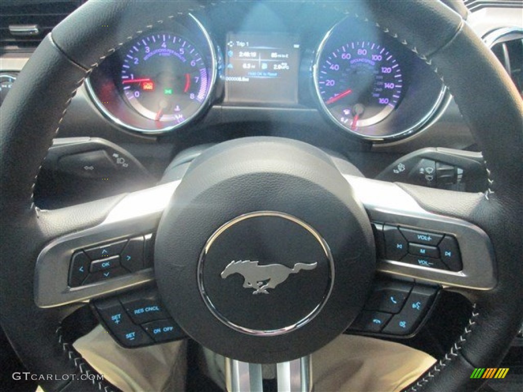 2015 Mustang GT Premium Coupe - Magnetic Metallic / 50 Years Raven Black photo #19