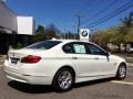 2012 Alpine White BMW 5 Series 528i xDrive Sedan  photo #3