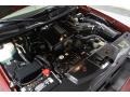 4.6 Liter SOHC 16-Valve V8 2003 Lincoln Town Car Signature Engine
