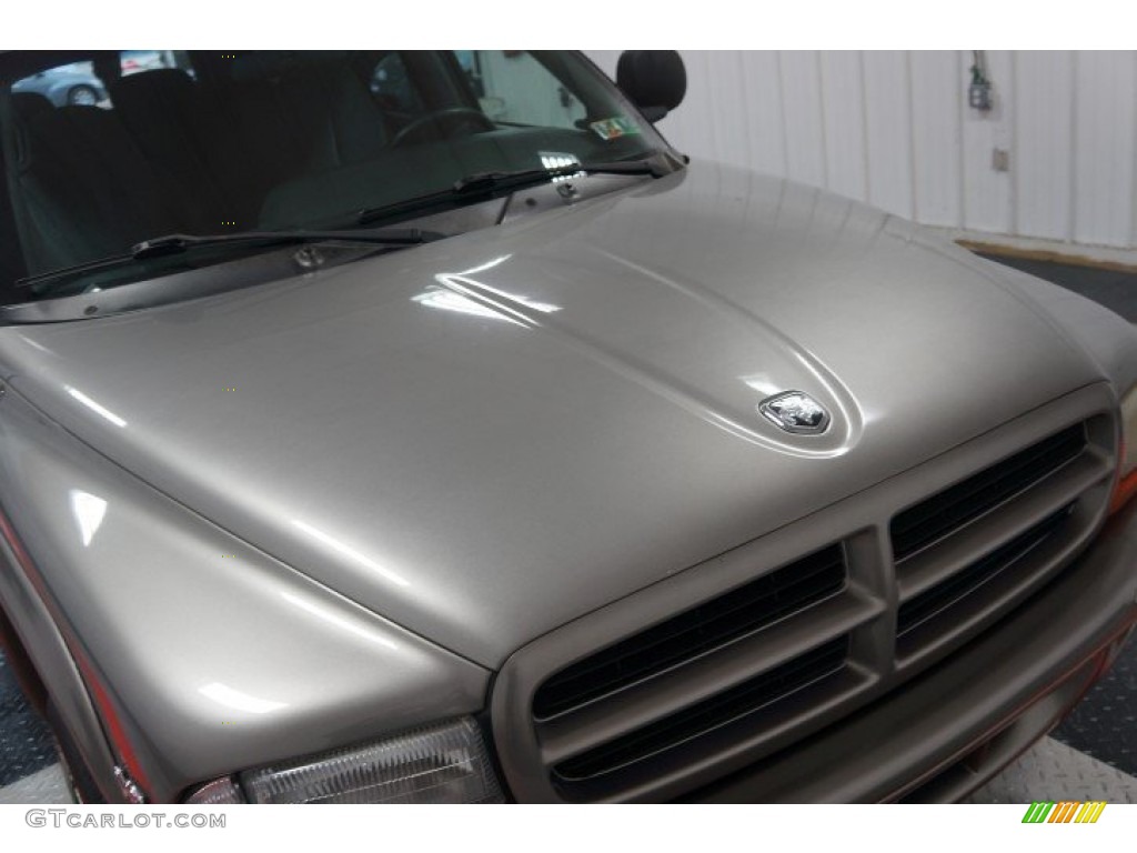 1999 Durango SLT 4x4 - Light Driftwood Satin Glow / Agate photo #41