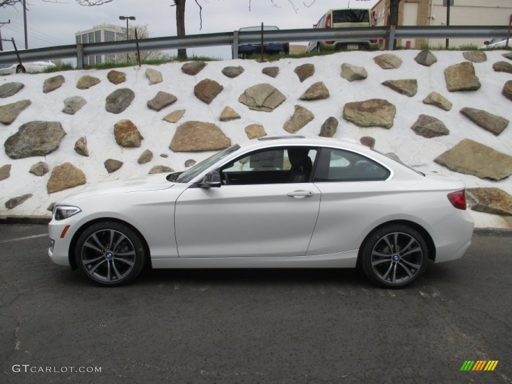 Alpine White 2015 BMW 2 Series 228i xDrive Coupe Exterior Photo #103556112