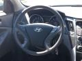 Iridescent Silver Blue Pearl - Sonata GLS Photo No. 12