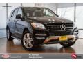Black - ML 350 Photo No. 1