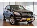 Black - ML 350 Photo No. 12