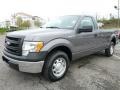 Sterling Gray Metallic 2013 Ford F150 XL Regular Cab Exterior