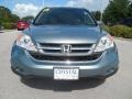 2010 Opal Sage Metallic Honda CR-V EX-L  photo #15