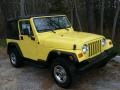 2001 Solar Yellow Jeep Wrangler SE 4x4  photo #3