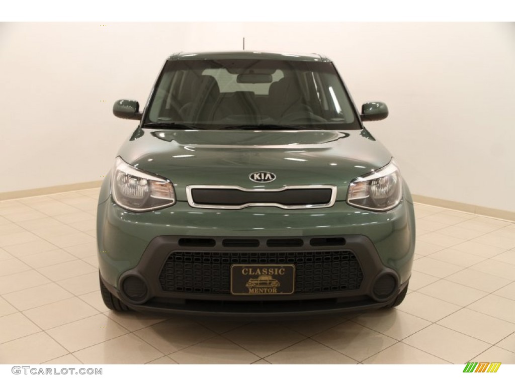 2014 Soul 1.6 - Kale Green / Black Diamond Woven Cloth photo #2