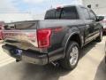 2015 Magnetic Metallic Ford F150 Platinum SuperCrew 4x4  photo #6