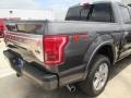 Magnetic Metallic - F150 Platinum SuperCrew 4x4 Photo No. 7