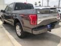 Magnetic Metallic - F150 Platinum SuperCrew 4x4 Photo No. 13