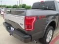 Magnetic Metallic - F150 Platinum SuperCrew 4x4 Photo No. 20