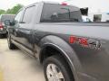 Magnetic Metallic - F150 Platinum SuperCrew 4x4 Photo No. 26