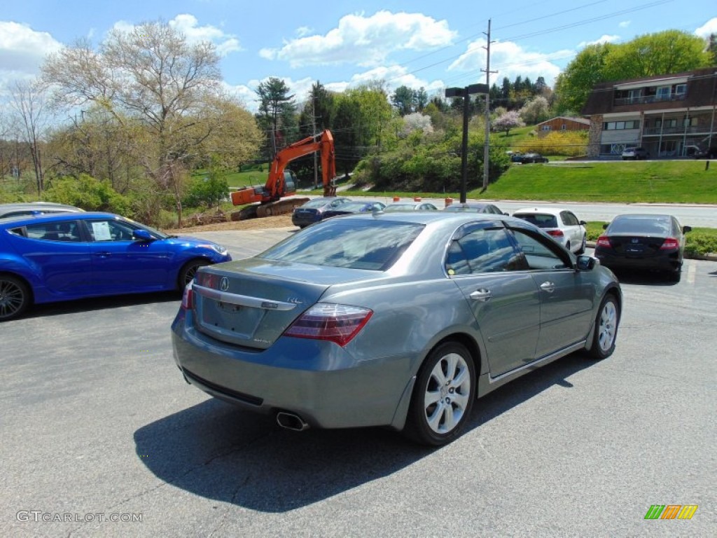 2010 RL Technology - Platinum Frost Metallic / Ebony photo #3