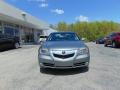 2010 Platinum Frost Metallic Acura RL Technology  photo #8