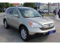 2008 Borrego Beige Metallic Honda CR-V EX-L  photo #9