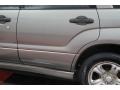 2006 Steel Gray Metallic Subaru Forester 2.5 X  photo #58
