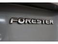 2006 Steel Gray Metallic Subaru Forester 2.5 X  photo #67