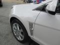 2010 Platinum Ice Tricoat Cadillac SRX 4 V6 Turbo AWD  photo #45