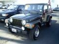 2006 Jeep Green Metallic Jeep Wrangler X 4x4  photo #3