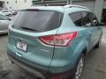 2013 Frosted Glass Metallic Ford Escape Titanium 2.0L EcoBoost  photo #6
