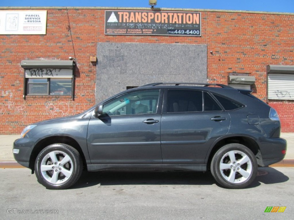 2006 RX 330 AWD - Flint Mica / Light Gray photo #6