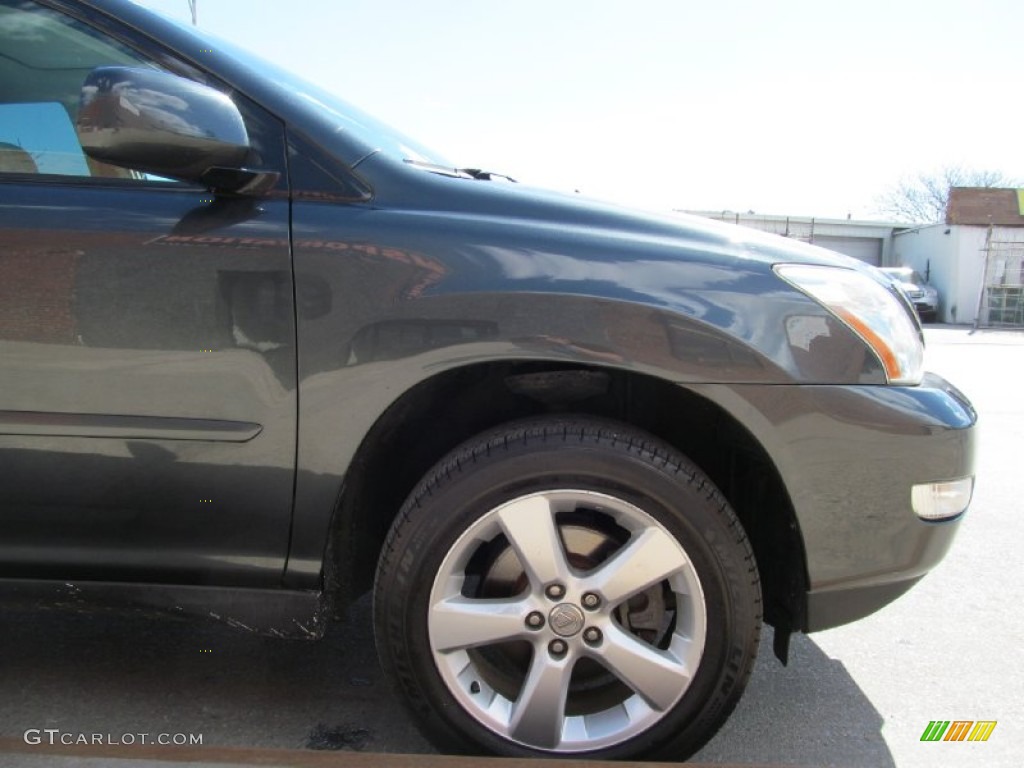 2006 RX 330 AWD - Flint Mica / Light Gray photo #11