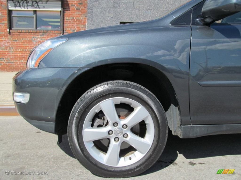 2006 RX 330 AWD - Flint Mica / Light Gray photo #12