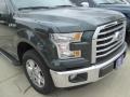 Guard Metallic - F150 XLT SuperCrew Photo No. 2