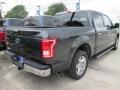 Guard Metallic - F150 XLT SuperCrew Photo No. 11