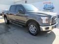 Magnetic Metallic - F150 XLT SuperCrew 4x4 Photo No. 17