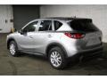 Alpine Grey Metallic - Tiguan SE 4Motion Photo No. 4