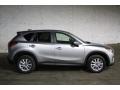 Alpine Grey Metallic - Tiguan SE 4Motion Photo No. 8