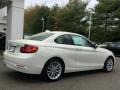 Alpine White - 2 Series 228i xDrive Coupe Photo No. 3