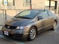 Polished Metal Metallic 2010 Honda Civic EX Coupe