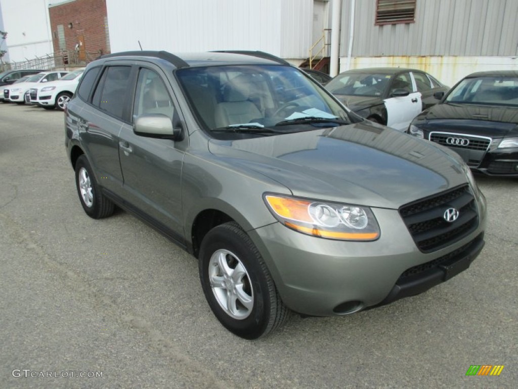 Platinum Sage Hyundai Santa Fe