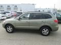 2008 Platinum Sage Hyundai Santa Fe GLS  photo #7