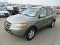 2008 Platinum Sage Hyundai Santa Fe GLS  photo #8