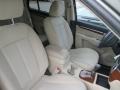 2008 Platinum Sage Hyundai Santa Fe GLS  photo #9