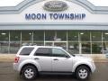 Ingot Silver Metallic 2011 Ford Escape XLT