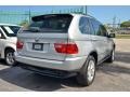 2005 Titanium Silver Metallic BMW X5 4.4i  photo #7